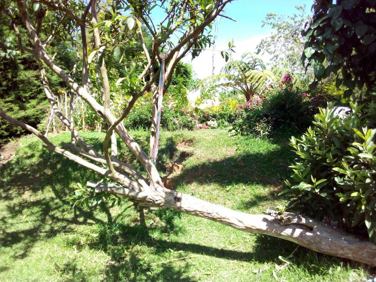 Fairy Hostel Nuwara Eliya Exterior photo